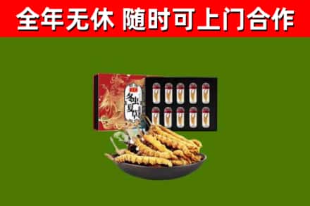 海兴县烟酒回收冬虫夏草礼盒.jpg